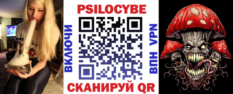 дарнет шоп  Балашиха  Галлюциногенные грибы мицелий 